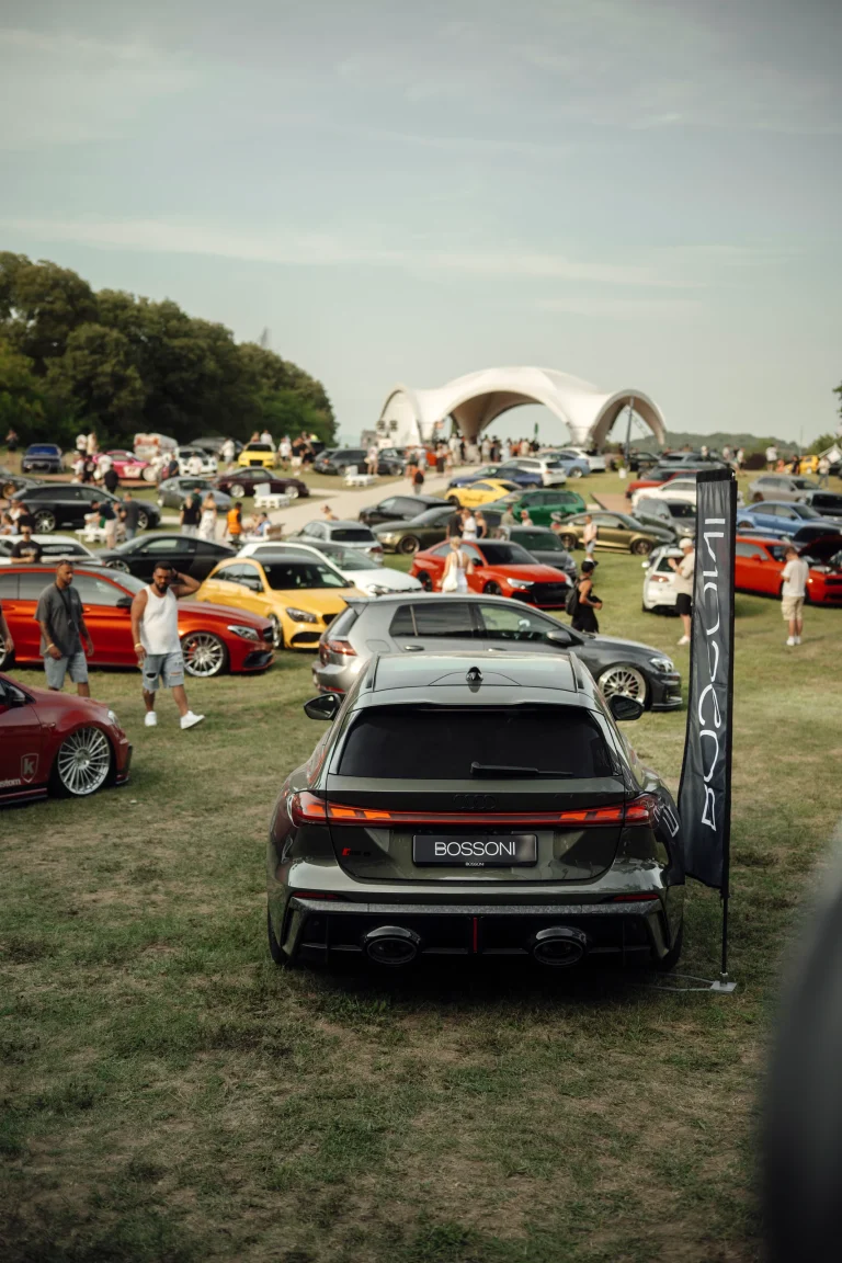 Automobili e partecipanti sul prato della villa