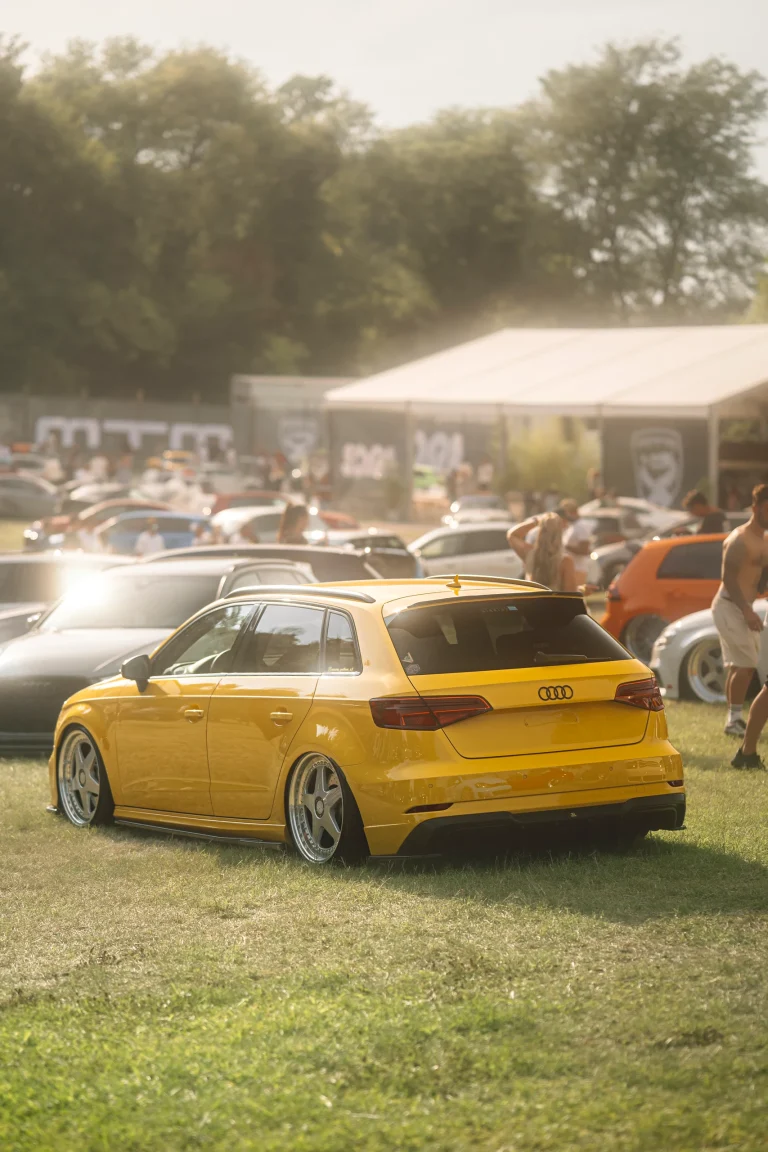 Automobile gialla e pubblico nel parco